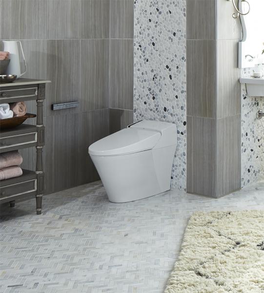 DXV SpaLet smart toilet