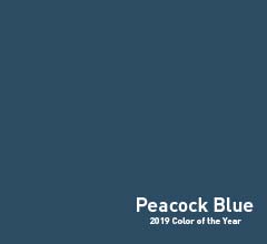 Kelly-Moore color of the year 2019 Peacock Blue