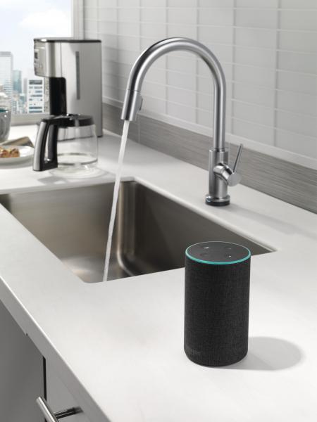 Delta voice activated faucet