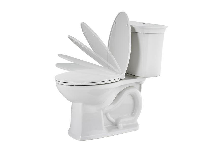 American Standard ActiClean toilet