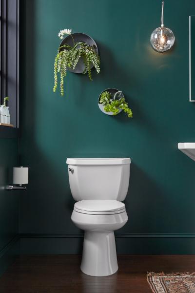 Kohler Highline Toilet